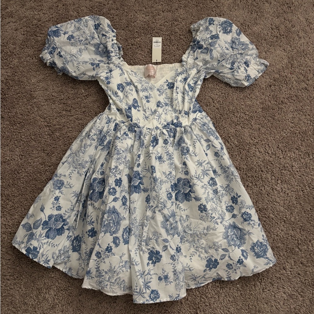 Francesca's Collections Blue Floral Dress